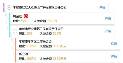 孝感市欣欣大眾房地產(chǎn)開發(fā)有限責(zé)任公司 工商信息、信用狀況與行業(yè)動態(tài)全方位解析